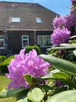Apartment with Garden View