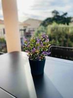 Appartement met 2 slaapkamers