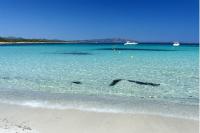 Grazioso bilocale a Porto Rotondo in Costa Smeralda - Chambres d’hôtes Porto Rotondo