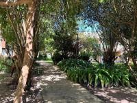 Iloa residence - B&B Barra de São Miguel