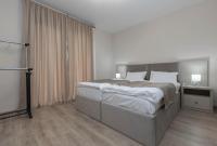 Deluxe Tweepersoonskamer met 1 of 2 Bedden en Uitzicht op de Stad