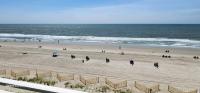 Oceanfront Efficiency T504 - Bed and Breakfast Myrtle Beach