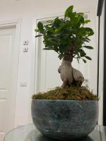 La Maison Derrière - Chambres d’hôtes Tropea