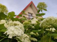 Domek pod Leszczyną na Kaszubach - Chambres d’hôtes Stężyca