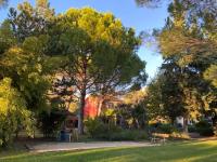 Monolocale con Vista Giardino