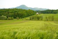 Sofia Holiday Haven in Nature with Pool - Bed and Breakfast Slovenska Bistrica