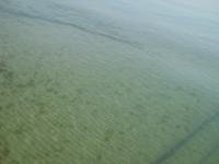 Haus mit 2 Schlafzimmern