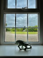 Doppelzimmer mit Gartenblick