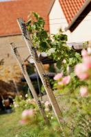 Gute Lage Ferienwohnungen - B&B Bad Dürkheim