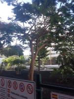 OCEAN VIEW, WIFI FREE, PLAYA LAS AMERICAS - B&B Adeje