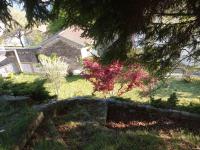 Villa Giulia - B&B