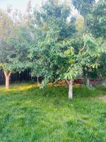 IMPERIUM DK VILLA - Ferienwohnung Remuș