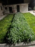 CAZARE JASMINA - B&B Corbu
