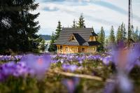 Obrochtowa Chata - B&B