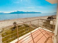 Red Flamingo - B&B Valona