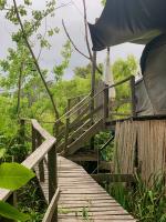 Domo de la Selva Tigre - B&B