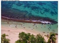 L'Oasis Appartement vue mer des Caraïbes proche des plages - Ferienwohnung Sainte-Luce