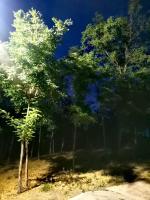 Šumadijska panorama - Bed and Breakfast Topola