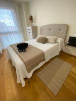 Voila Catedral - B&B Tudela