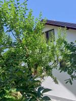 B&B Visoko - Kuća za odmor Ravne H&N - Bed and Breakfast Visoko