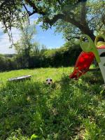 Maison de village family friendly - Doucier - Bed and Breakfast Doucier