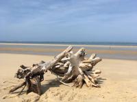 Superbe villa Obordelo à 50 m de la plage. - B&B Andernos-les-Bains