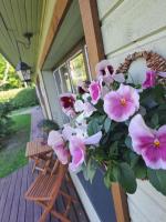 Cosy guesthouse with sauna and outdoor kitchen - Ferienwohnung Arensburg