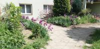 Kawalerka przy termach - B&B