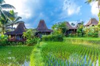 Villa Neyang - B&B Ubud