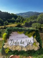 Dealu din Vale - Bed and Breakfast Ponor
