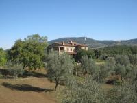 B&B Monterotondo - Sport Bikes and Nature - Bed and Breakfast Monterotondo