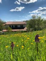 B&B Gubbio - Butterflies Rest - Bed and Breakfast Gubbio