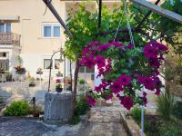 Villa Salvia Rooms and Apartments - B&B Rovinj