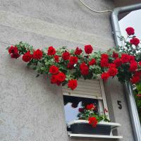 Apartment mit 2 Schlafzimmern