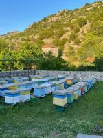 Honey Home - B&B Podgorica