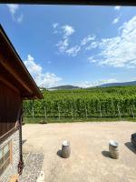 Camera Matrimoniale/Doppia con Letti Singoli