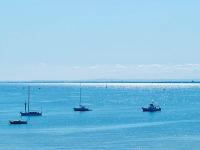 Bay Rd Kids & Pet Friendly Free Parking - B&B Cheltenham