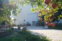 Masseria Giangrande - Rooms and Apartment - B&B Polignano a Mare