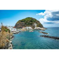 Rusticano - intero appartamento - B&B Ischia