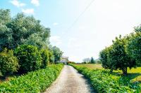 Just Like Home - Casa do Rosmaninho - Bed and Breakfast Caminha