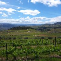 Quinta Soutelinho - B&B Sabrosa