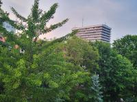 Exklusives & ruhiges Zimmer an der Uni Mainz - Ferienwohnung Mainz