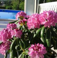 Double or Twin Room with Private Bathroom