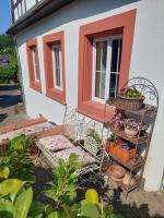 Romantisches Ferienhaus in Moselnähe - Bed and Breakfast