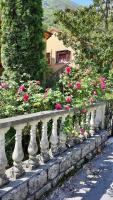 B&B Donji Morinj - Orange apartmani - Bed and Breakfast Donji Morinj