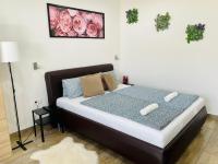 B&B Hajduszoboszlo - Attila Studio Apartments - Bed and Breakfast Hajduszoboszlo