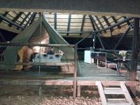 Tenda