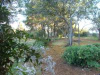 Casa Fonte - B&B Santo Estêvão