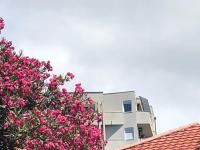 Panoramic Bliss - Ferienwohnung