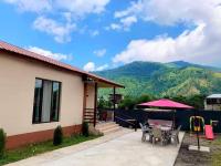 Mountain house - B&B Borjomi